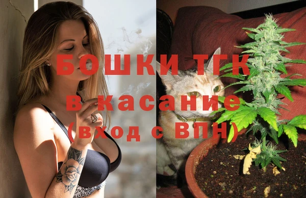 шишки Балабаново