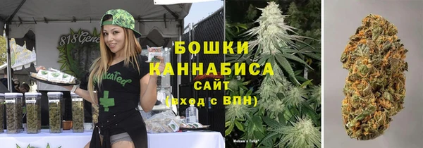 шишки Балабаново